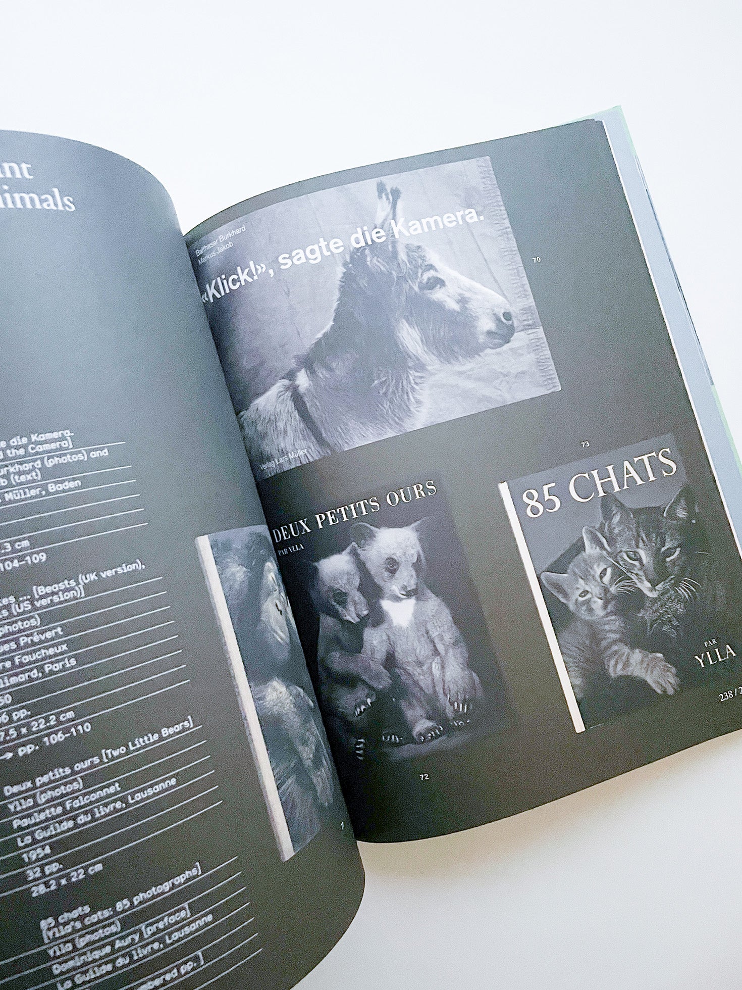 L IS FOR LOOK - CHILDREN’S PHOTOBOOKS