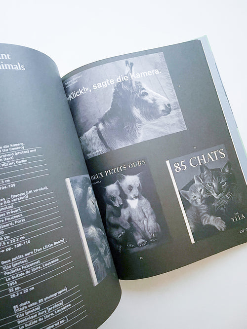 L IS FOR LOOK - CHILDREN’S PHOTOBOOKS