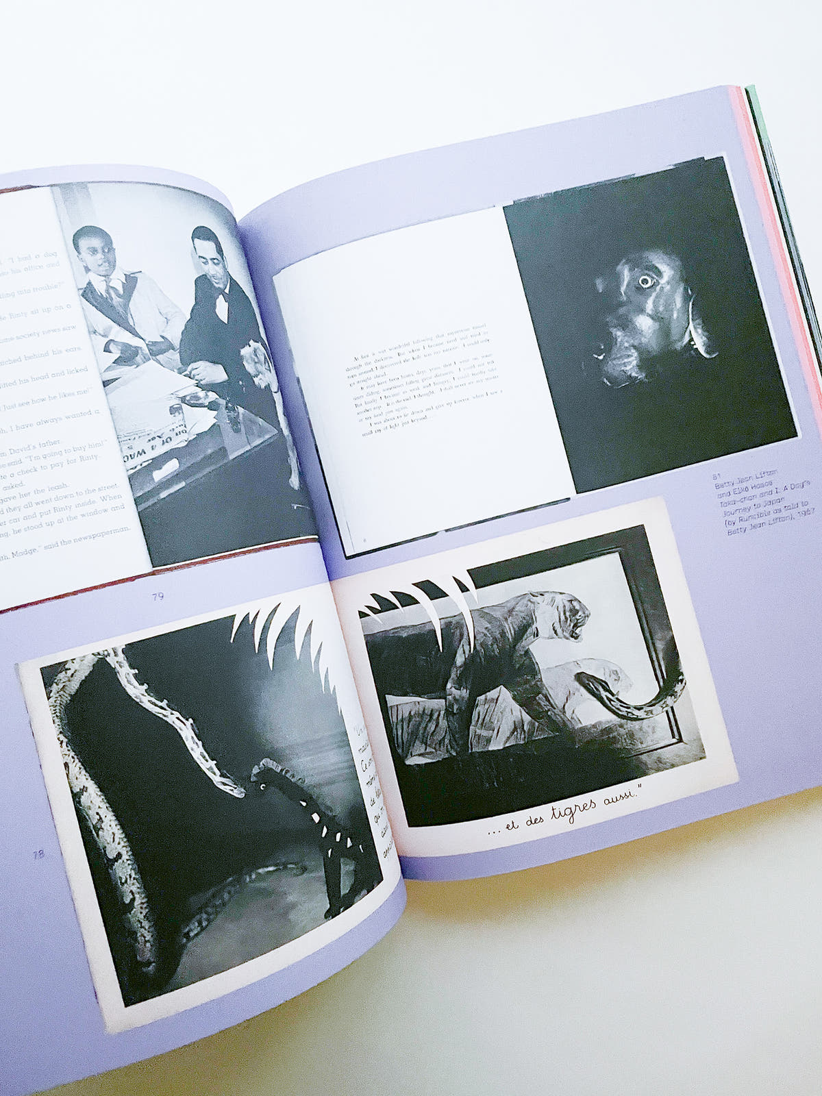 L IS FOR LOOK - CHILDREN’S PHOTOBOOKS