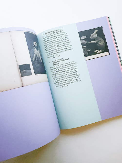 L IS FOR LOOK - CHILDREN’S PHOTOBOOKS
