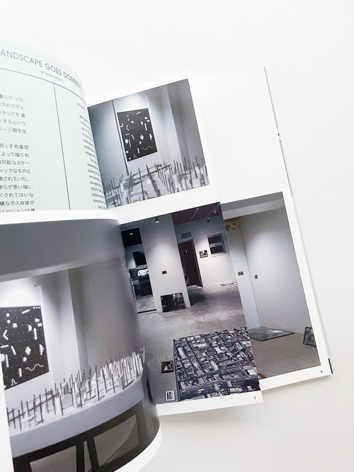 LANDSCAPE GOES DOMESTIC / ULTRA STUDIO