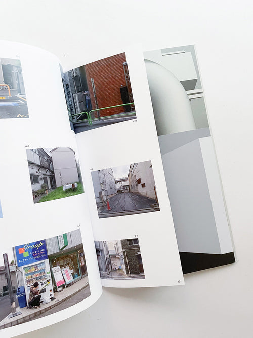 LANDSCAPE GOES DOMESTIC / ULTRA STUDIO