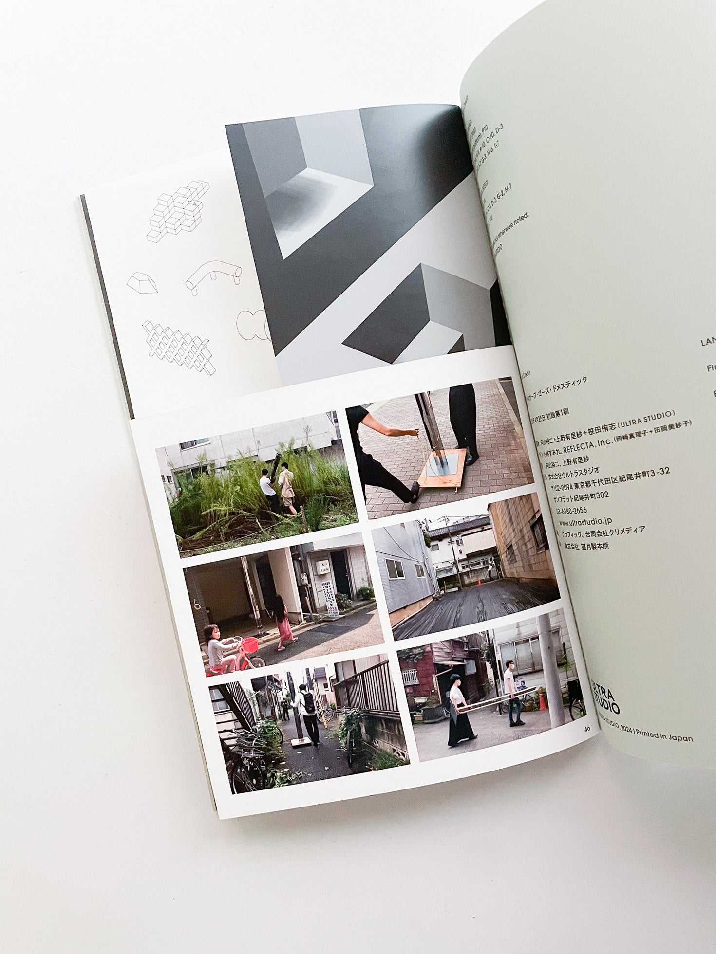 LANDSCAPE GOES DOMESTIC / ULTRA STUDIO