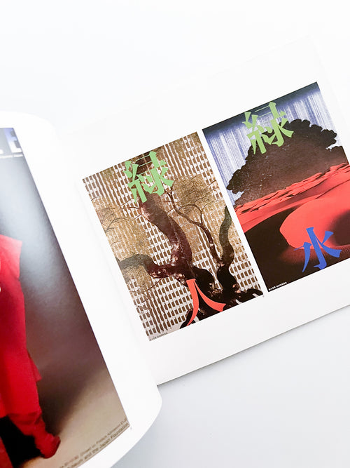 DESIGN OF IKKO TANAKA