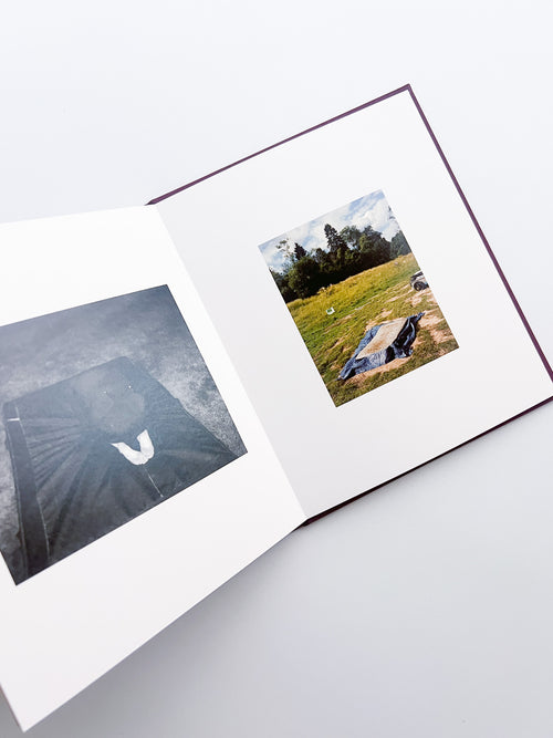 VISCIN / Yorgos Lanthimos