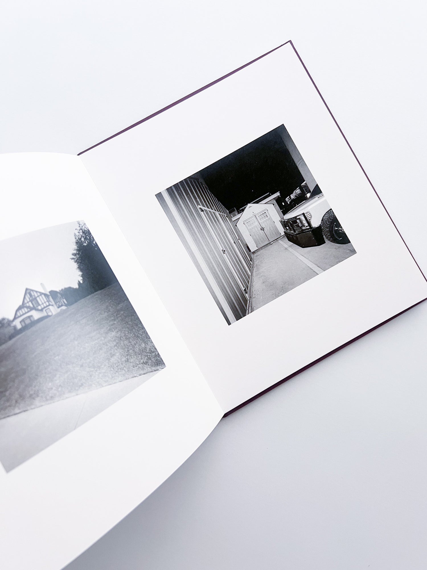 VISCIN / Yorgos Lanthimos