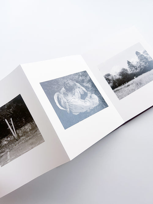 VISCIN / Yorgos Lanthimos