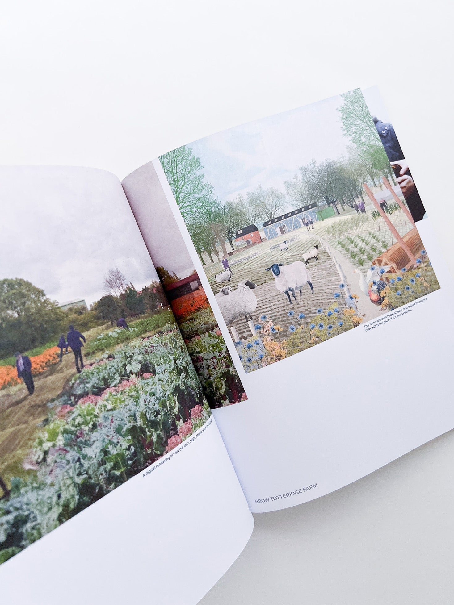 Assemble: Building Collective