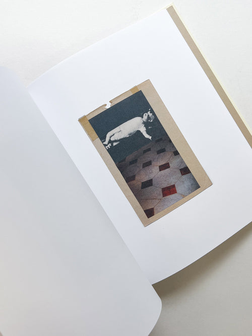 OLD SWEATER GETS NEW USES by Katrien De Blauwer