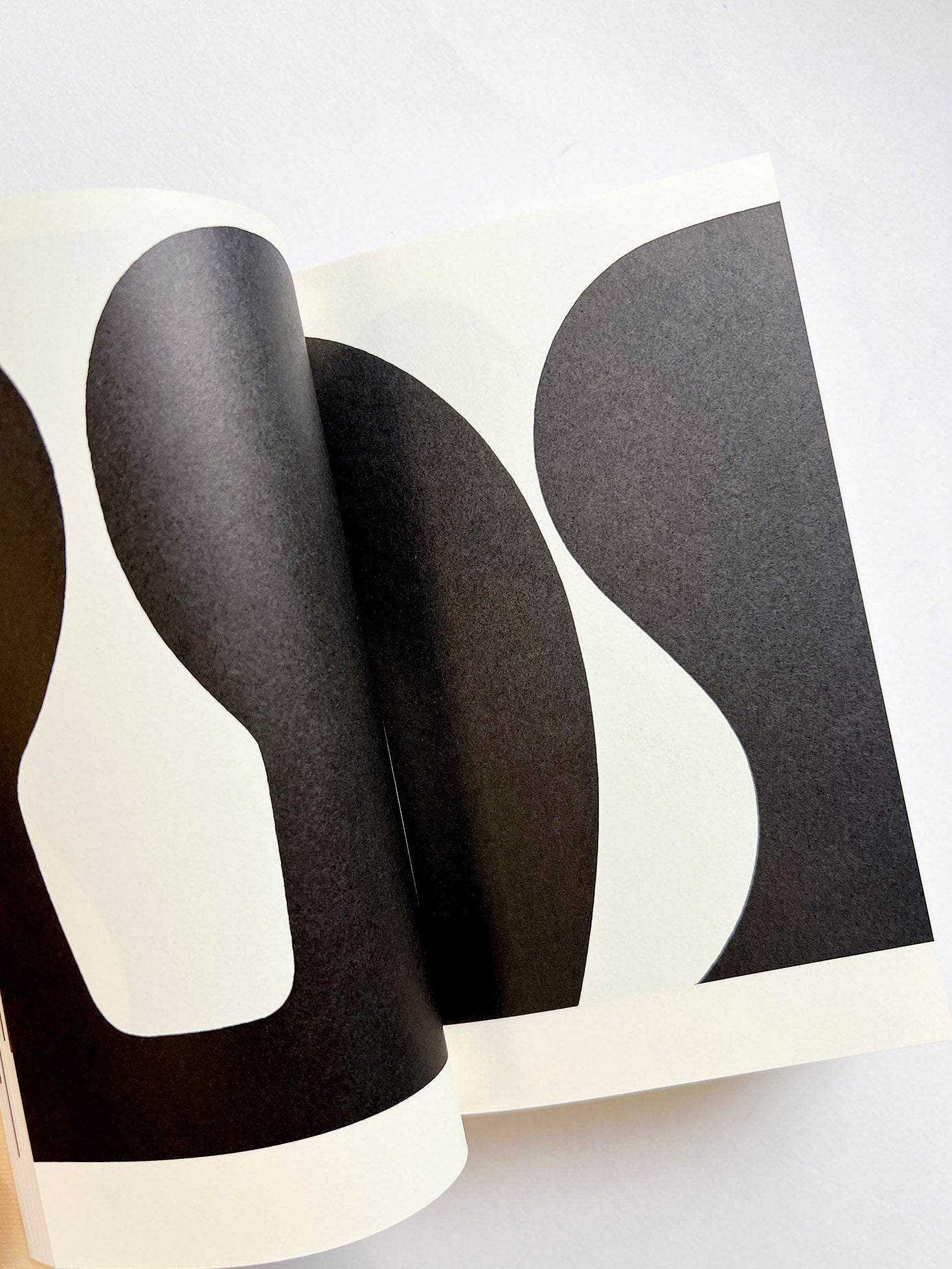 言葉が立ち上がるまえに / 小林一毅