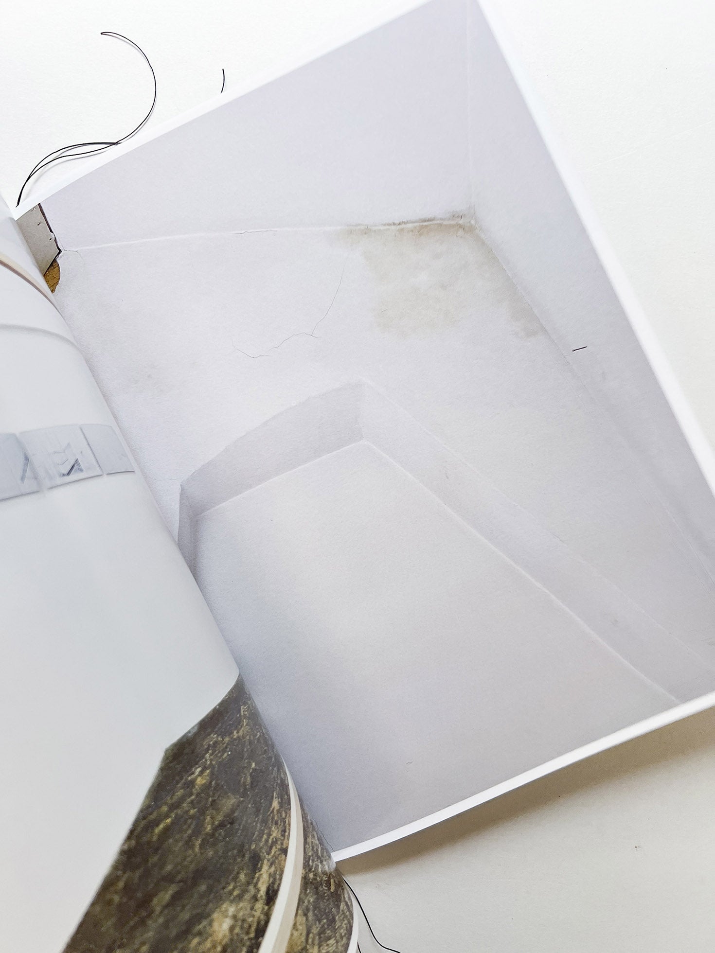 OTHERS : Segment 2, 3 / Ikuhisa Sawada and Marc Nagtzaam