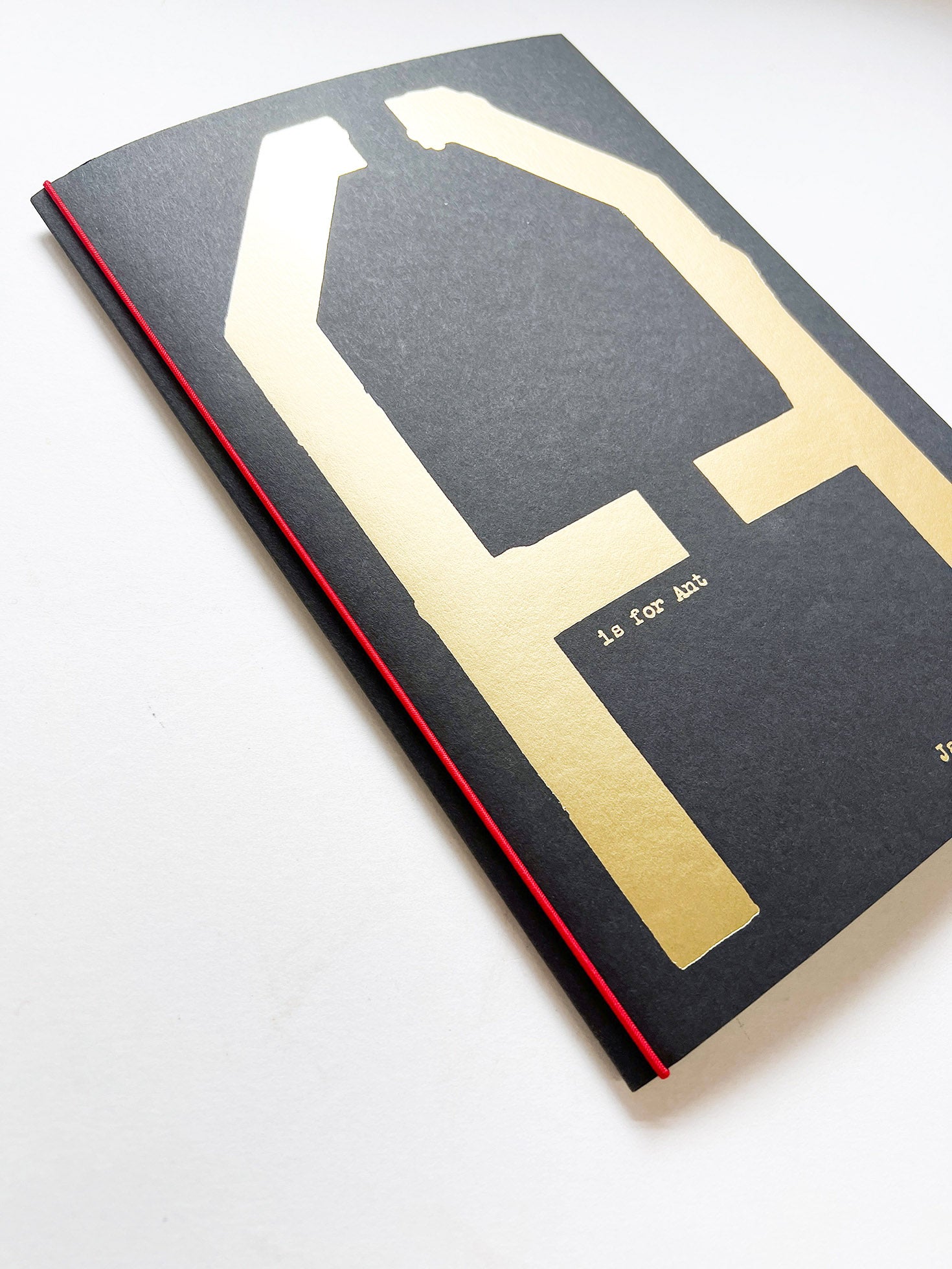 A is for Ant Children's Edition / Jack Davison