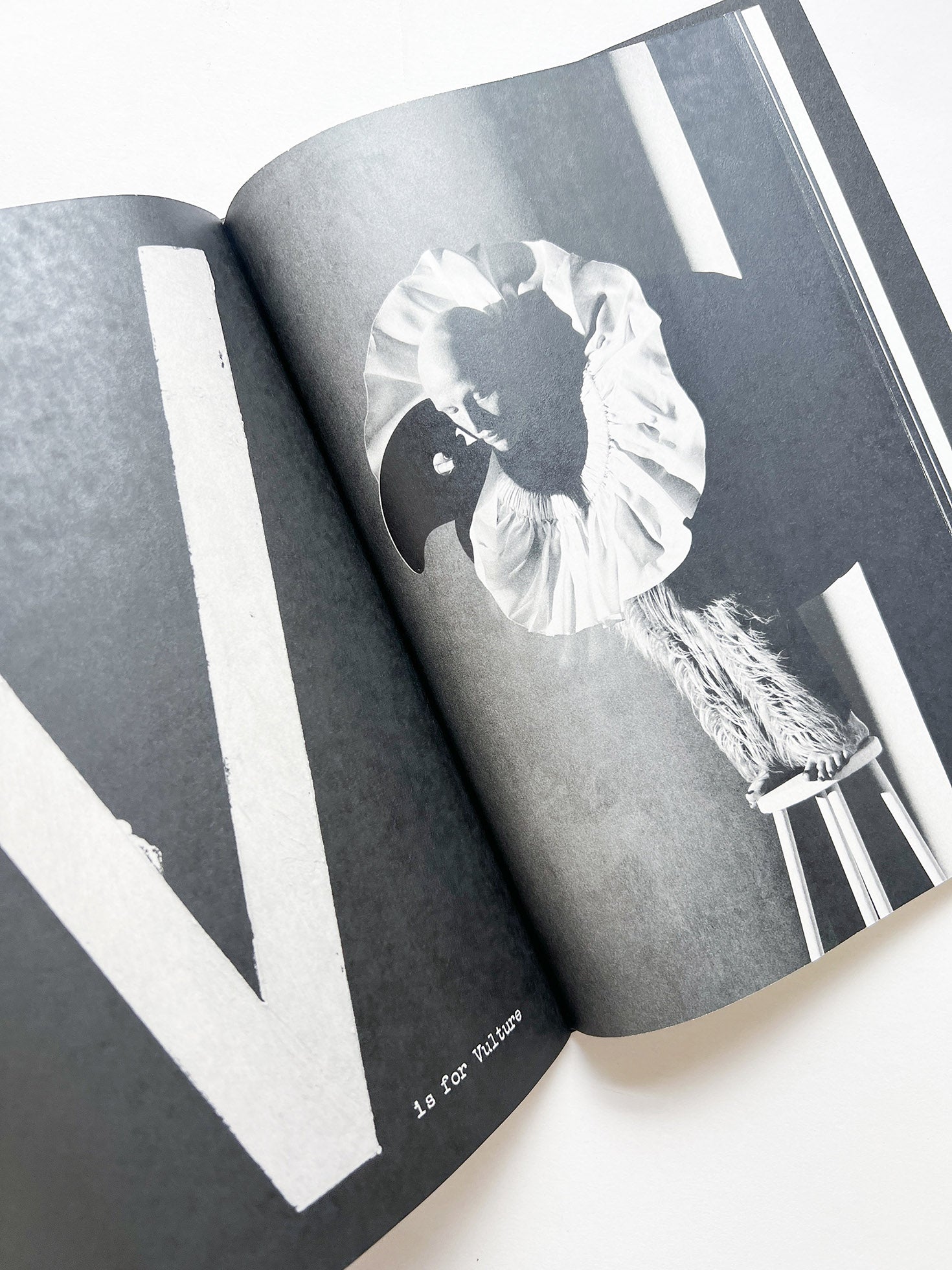 A is for Ant Children's Edition / Jack Davison