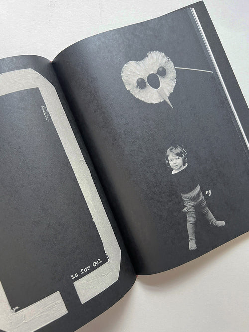 A is for Ant Children's Edition / Jack Davison