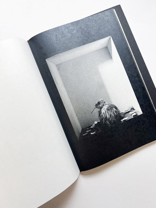 A is for Ant Children's Edition / Jack Davison