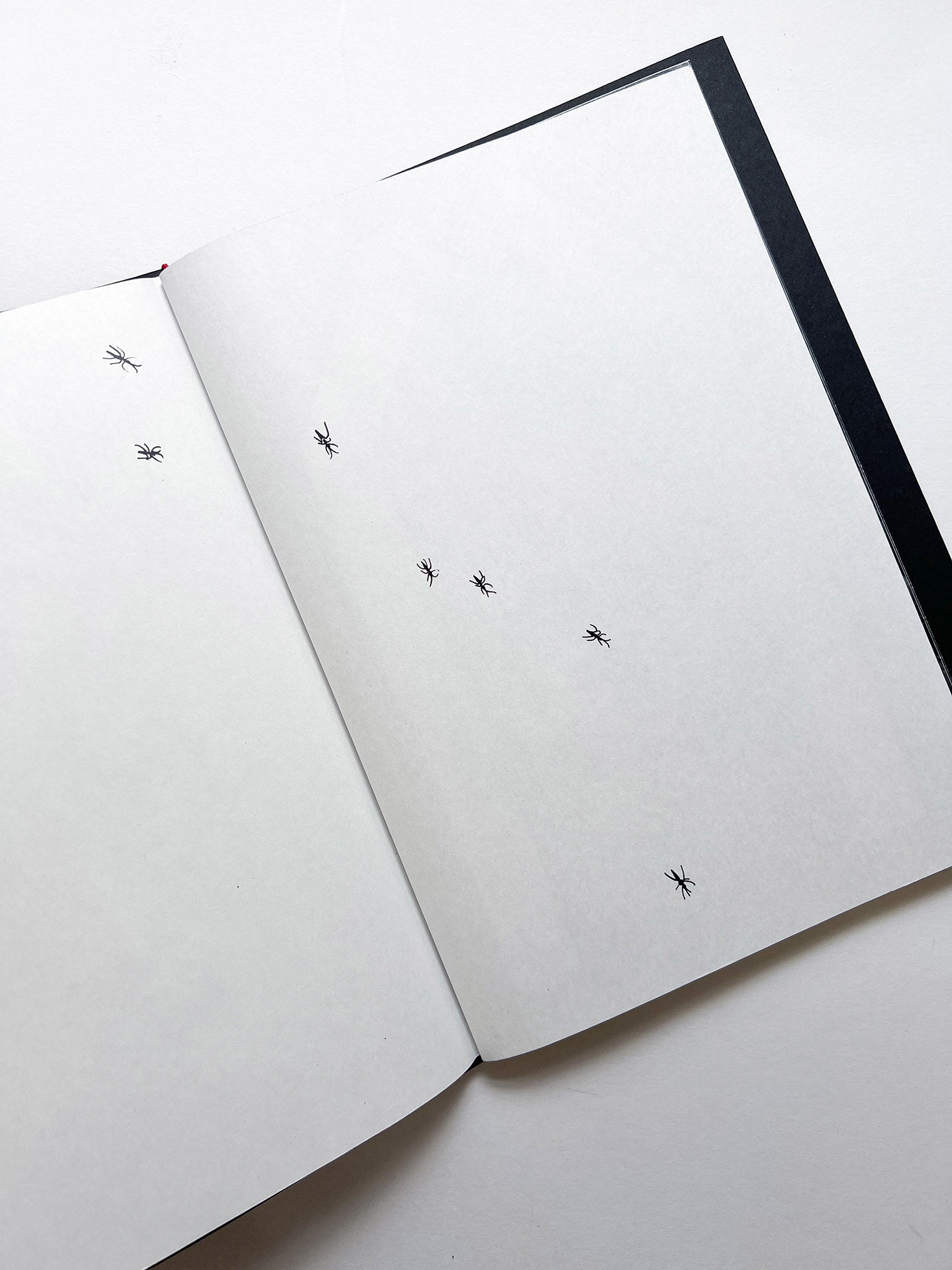 A is for Ant Children's Edition / Jack Davison