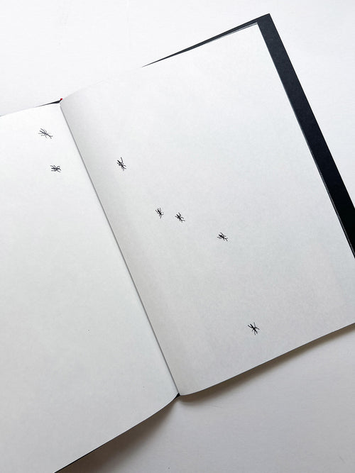 A is for Ant Children's Edition / Jack Davison