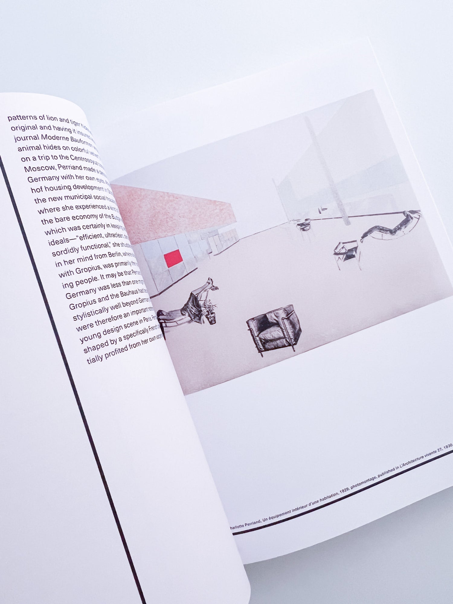 The Art of Dwelling / Charlotte Perriand