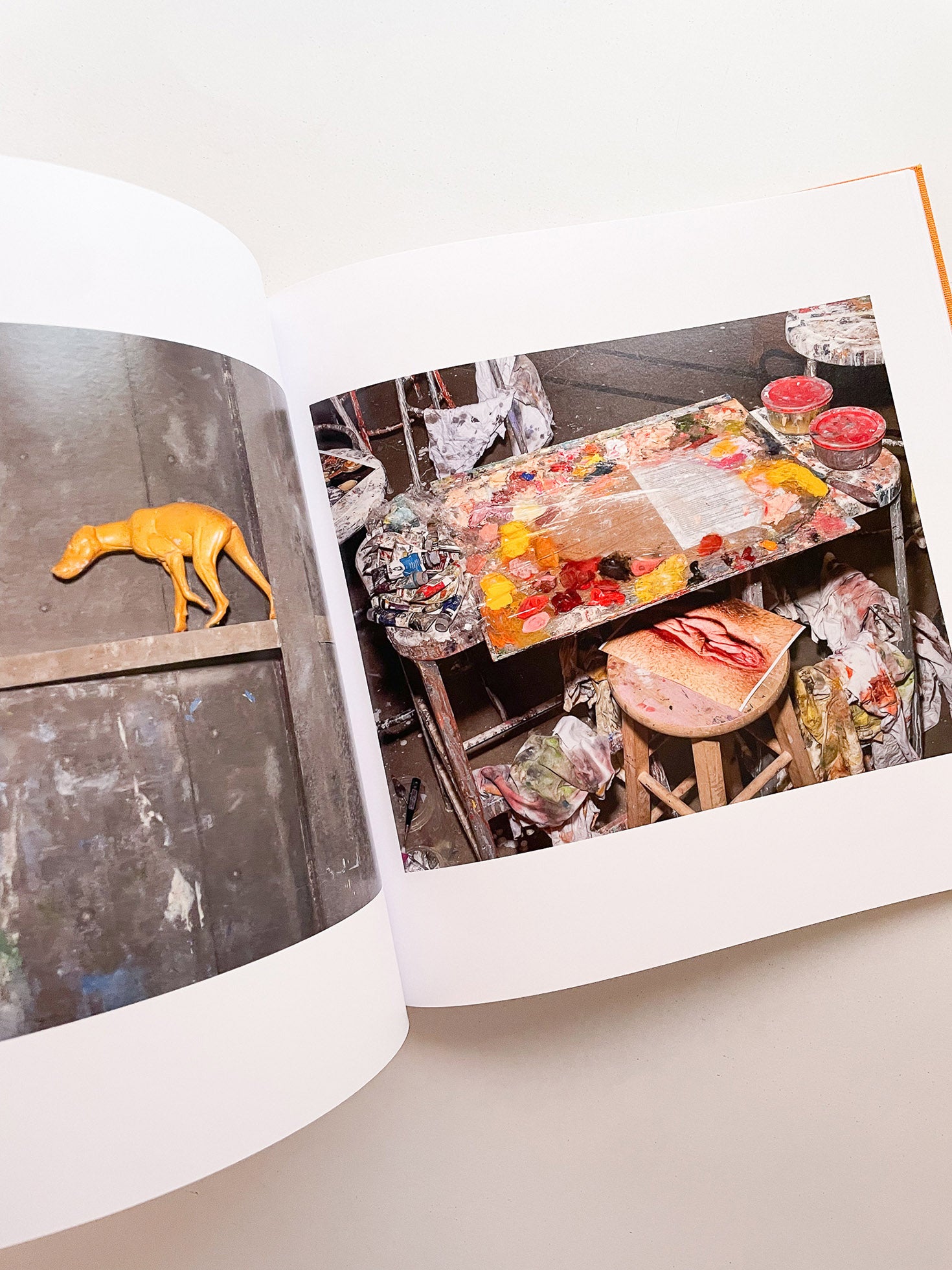 ADVICE FOR YOUNG ARTISTS / Alec Soth [SIGNED]