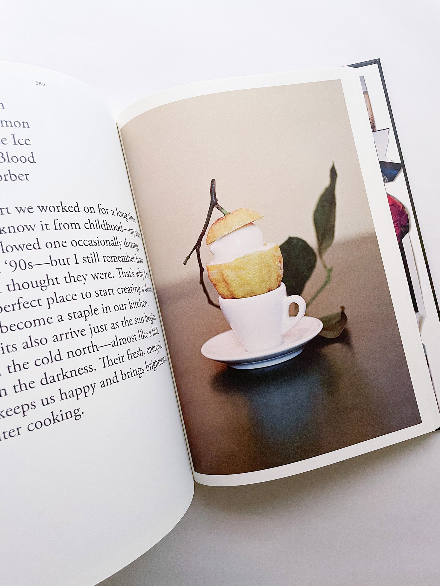 APOLLO: STATE-OF-THE-ART COOKING AND A PARTY / Frederik Bille Brahe