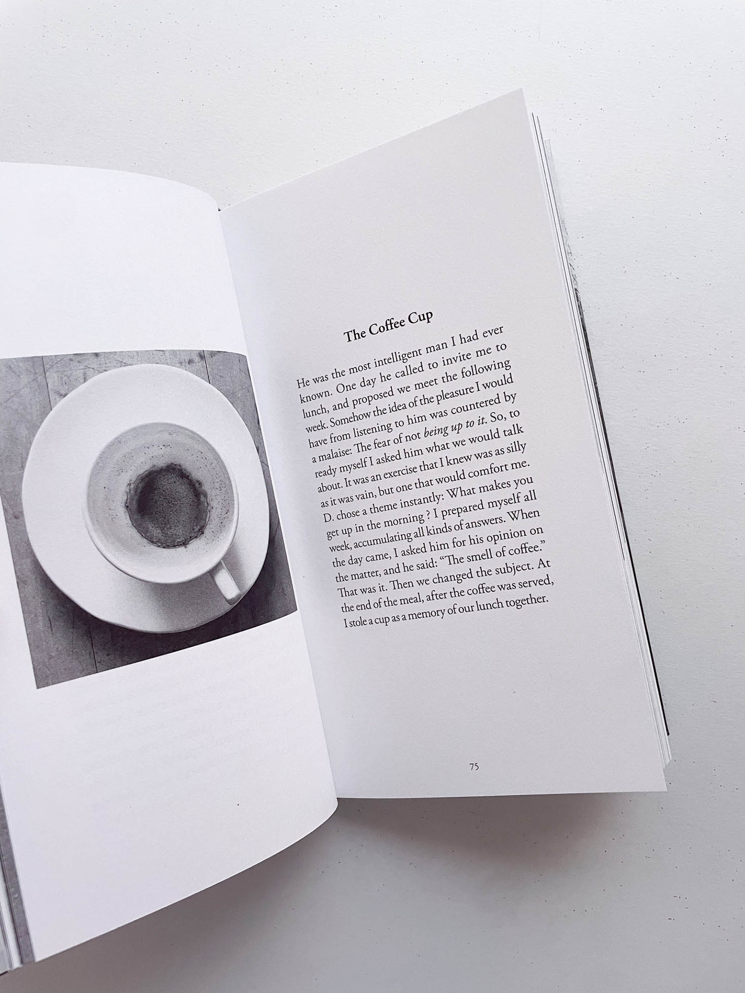 TRUE STORIES / Sophie Calle