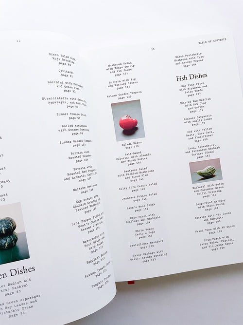 APOLLO: STATE-OF-THE-ART COOKING AND A PARTY / Frederik Bille Brahe