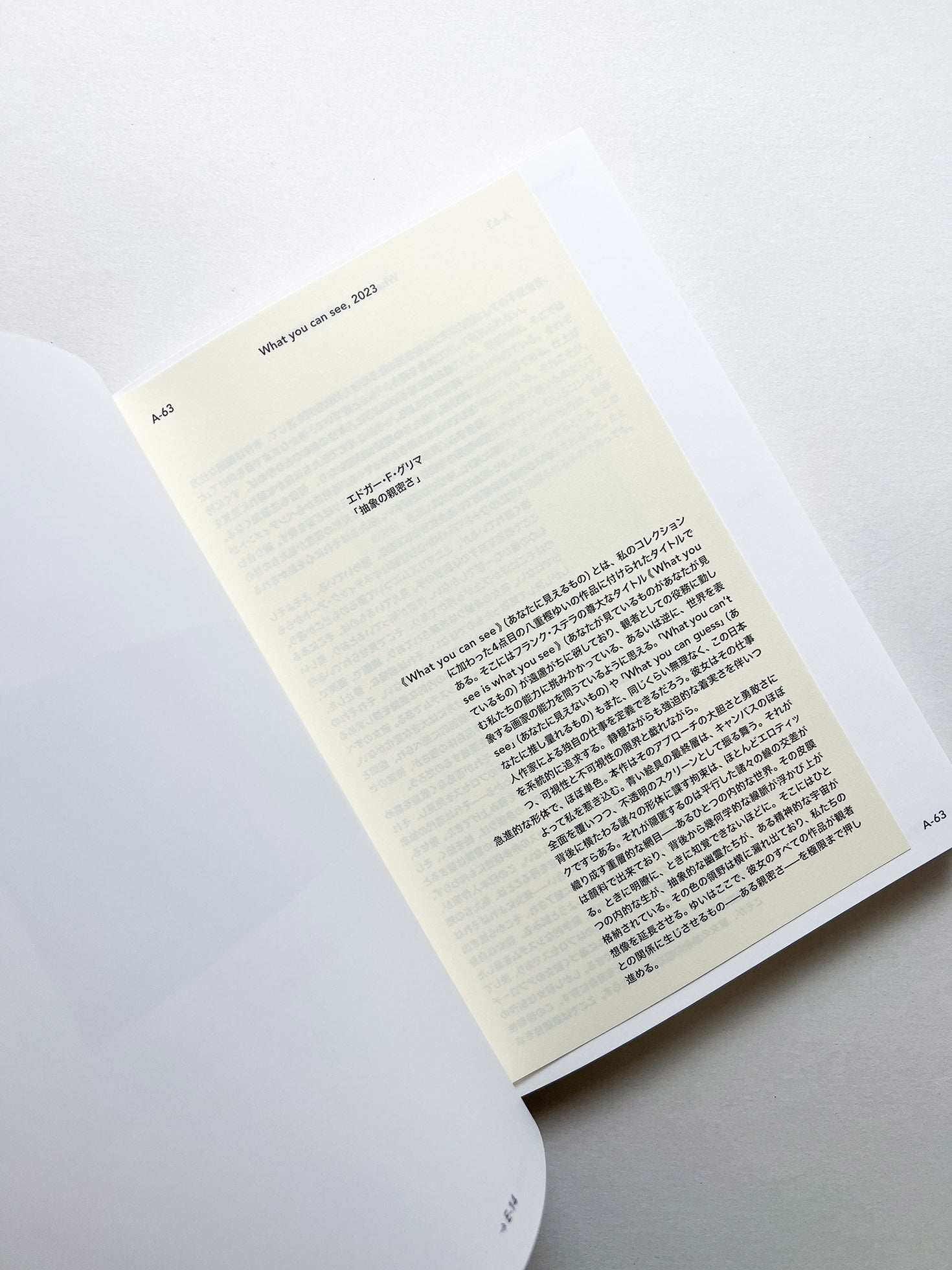 Yui Yaegashi. 2024 - 2009 / Yui Yaegashi [SIGNED]