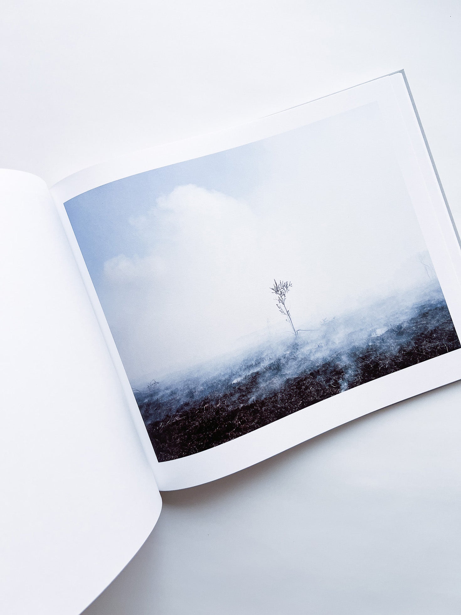 CASPIAN: A SOUTHERN REFLECTION / Khashayar Javanmardi