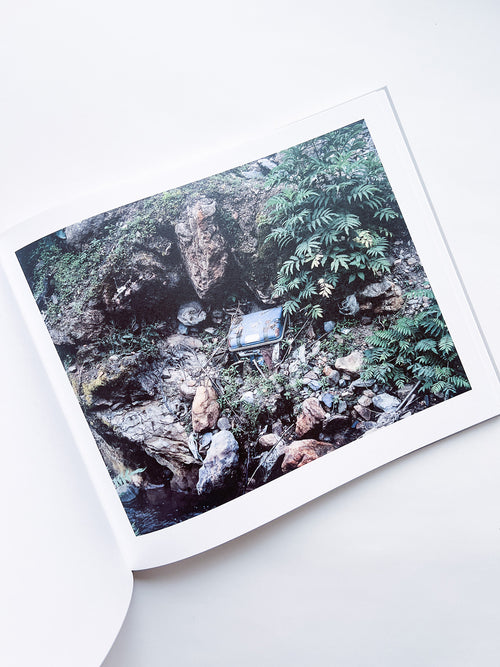 CASPIAN: A SOUTHERN REFLECTION / Khashayar Javanmardi