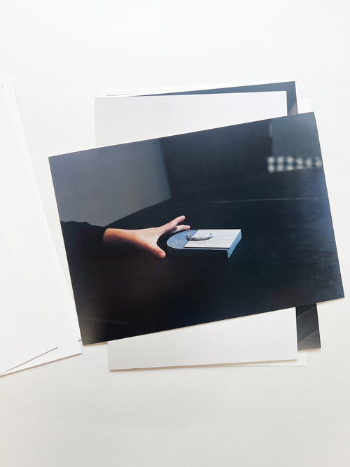 Kairanban #1 / Futoshi Miyagi, Yukihito Kono, Hirofumi Isoya, Kenji Ide, Chan Cho, Kiu Bunchi, Yui Usui, Sawako Tanizawa