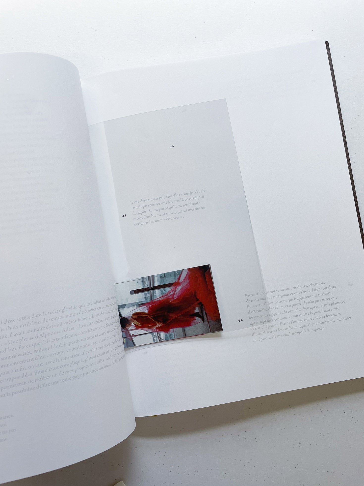 Erratum / Sophie Calle