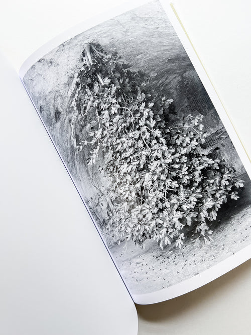 THE PALACE / Mårten Lange [SIGNED]