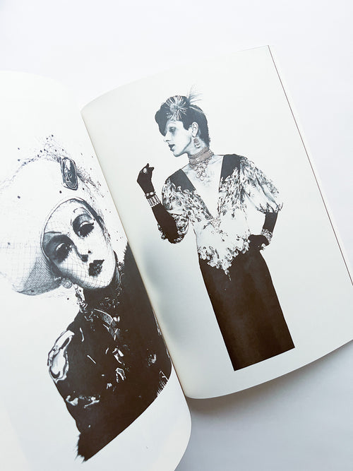 NEWSPAPER / Steve Lawrence, Peter Hujar, Andrew Ullrick