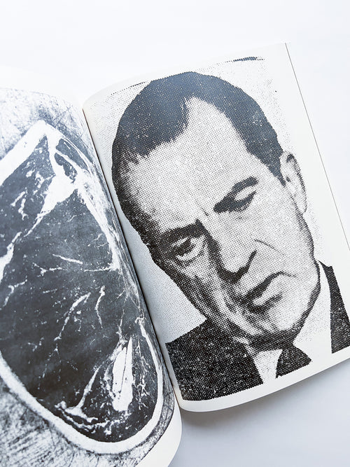 NEWSPAPER / Steve Lawrence, Peter Hujar, Andrew Ullrick