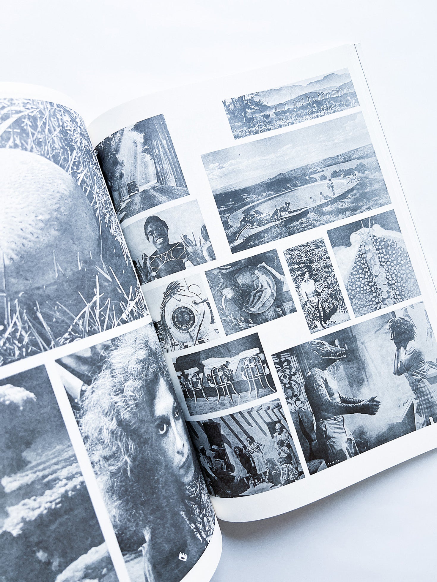 NEWSPAPER / Steve Lawrence, Peter Hujar, Andrew Ullrick