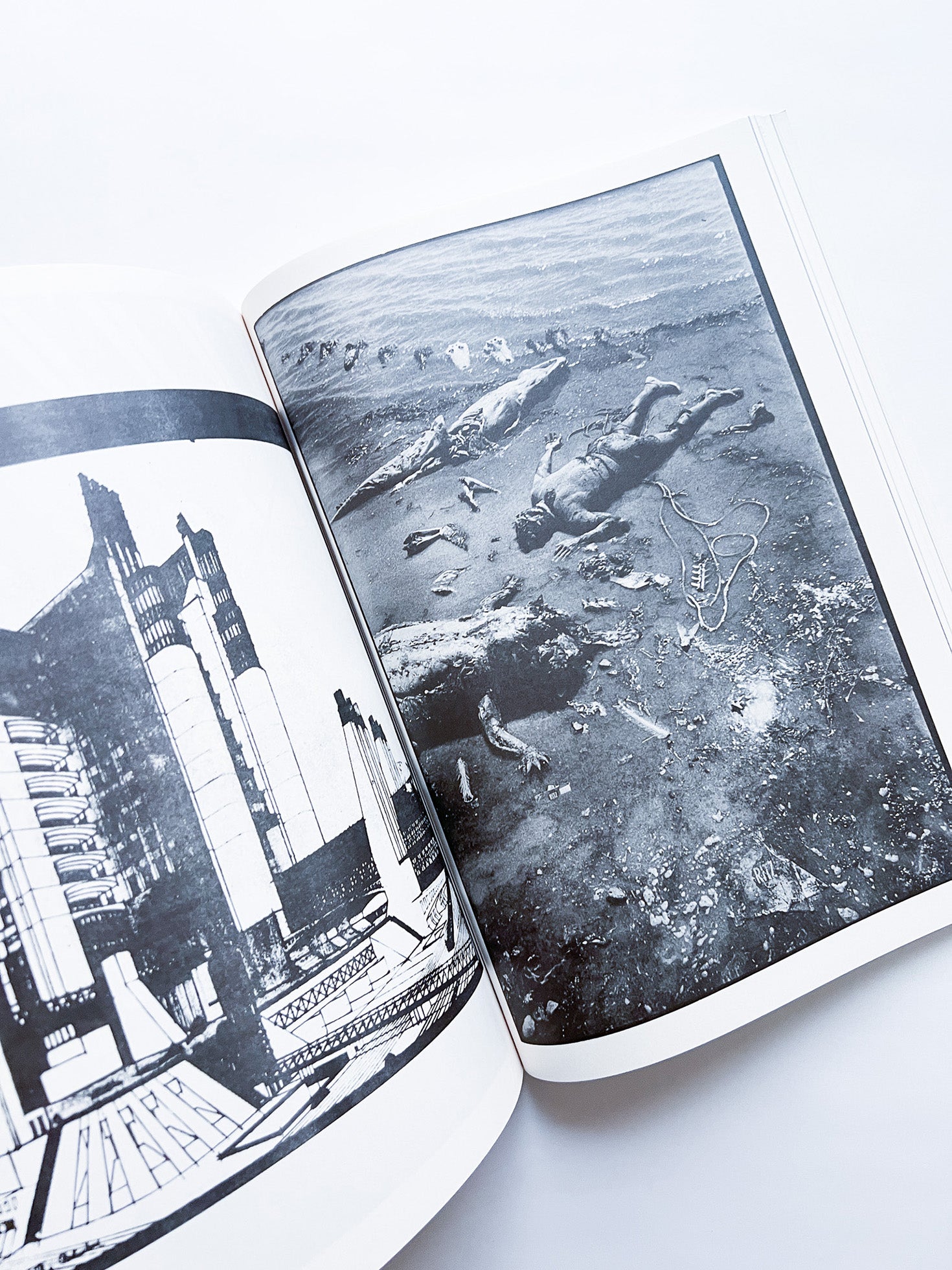 NEWSPAPER / Steve Lawrence, Peter Hujar, Andrew Ullrick