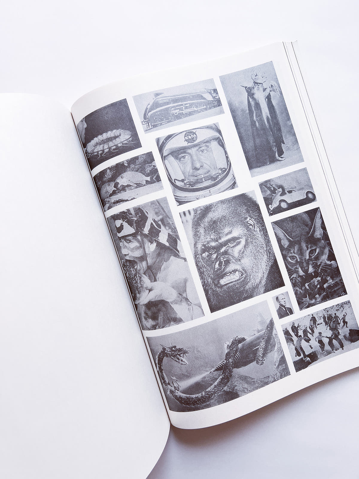 NEWSPAPER / Steve Lawrence, Peter Hujar, Andrew Ullrick