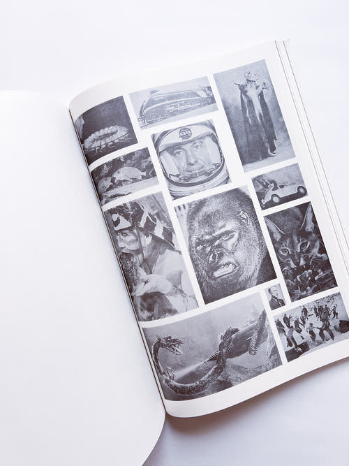 NEWSPAPER / Steve Lawrence, Peter Hujar, Andrew Ullrick