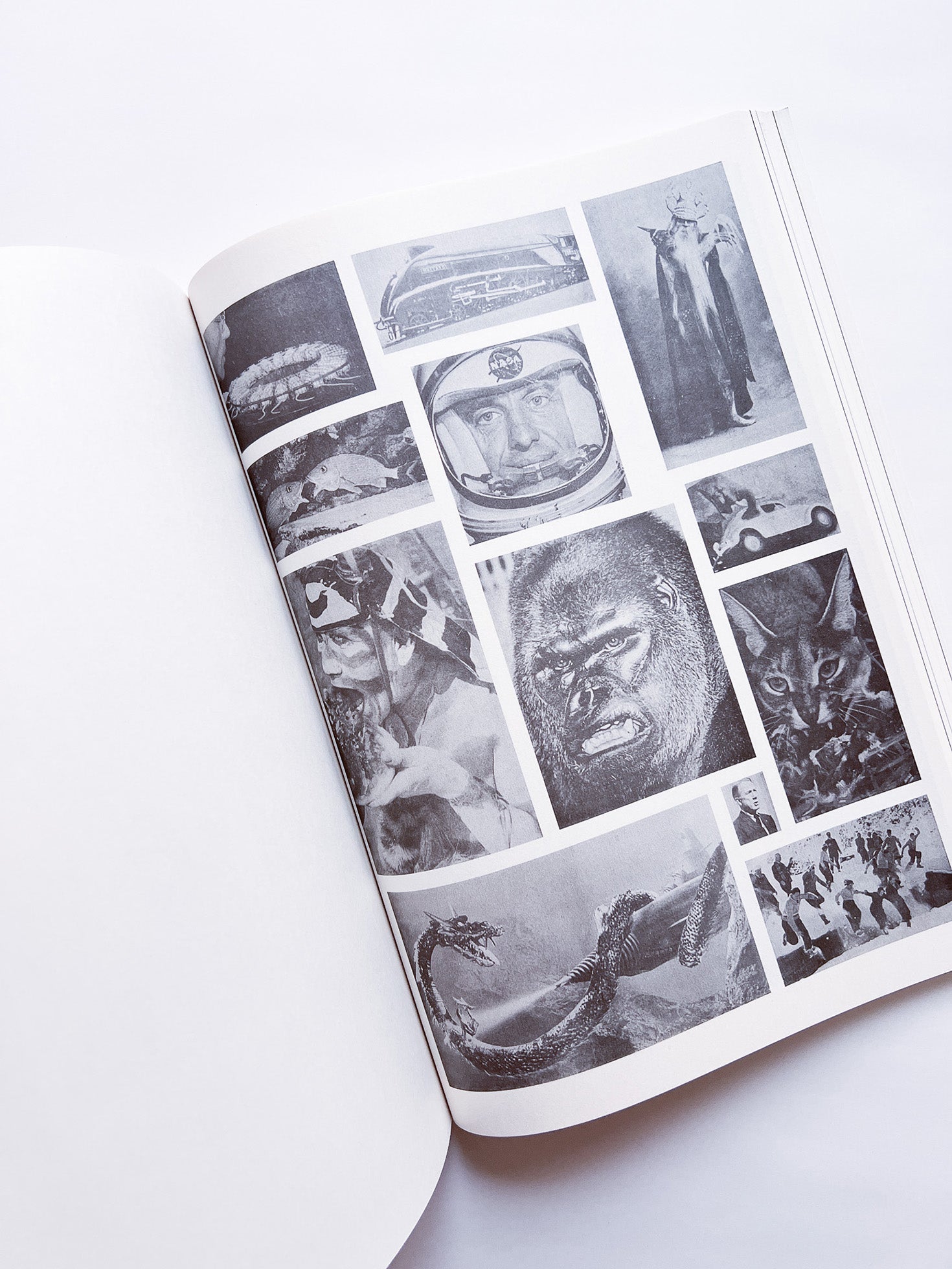 NEWSPAPER / Steve Lawrence, Peter Hujar, Andrew Ullrick