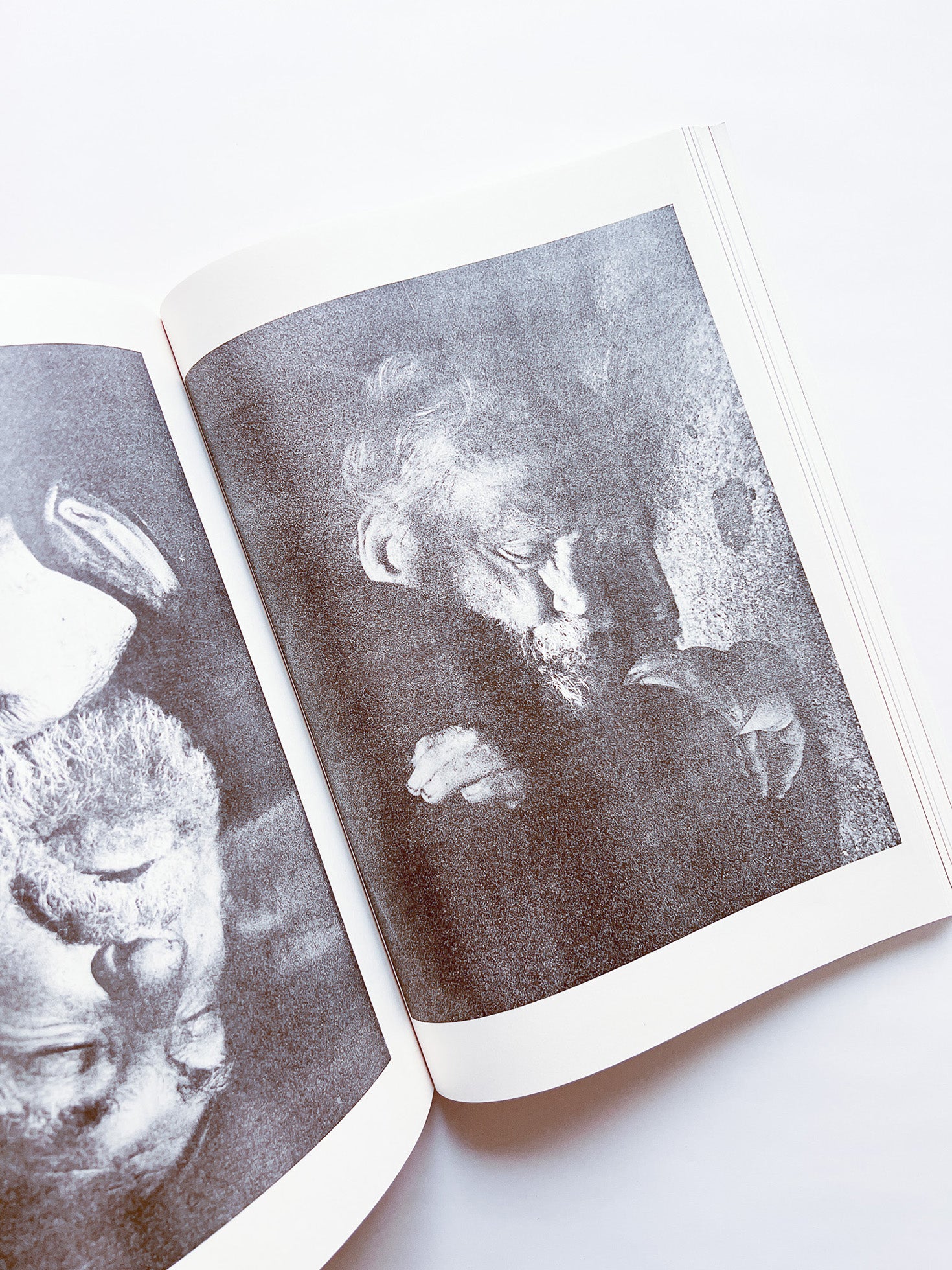 NEWSPAPER / Steve Lawrence, Peter Hujar, Andrew Ullrick