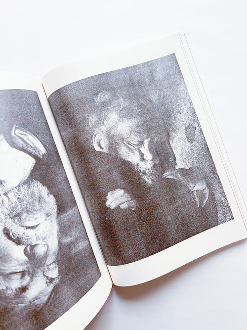 NEWSPAPER / Steve Lawrence, Peter Hujar, Andrew Ullrick