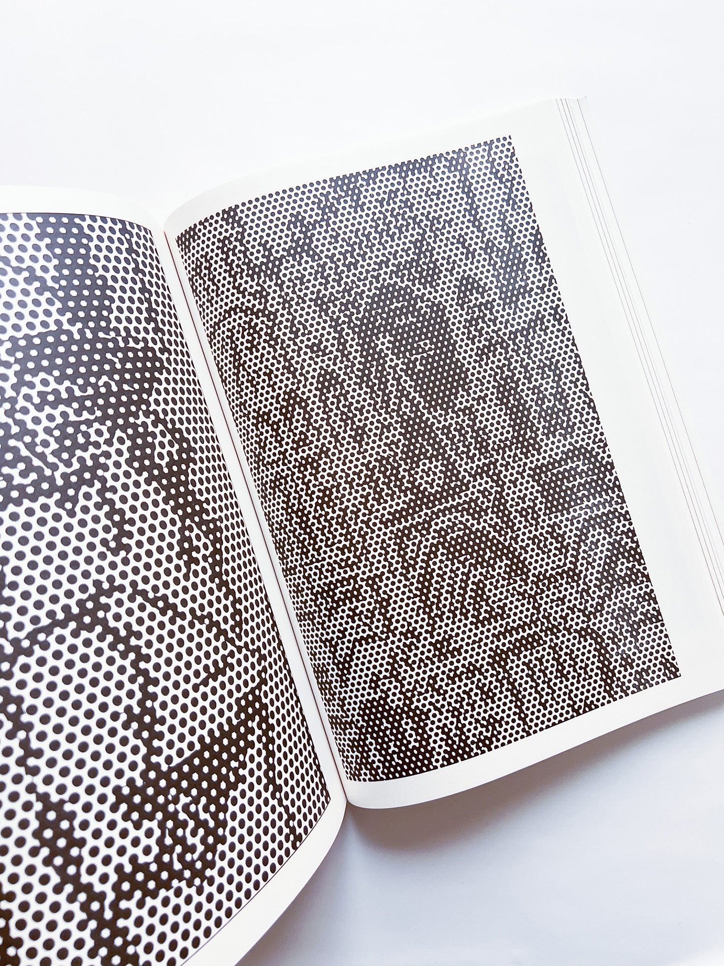 NEWSPAPER / Steve Lawrence, Peter Hujar, Andrew Ullrick