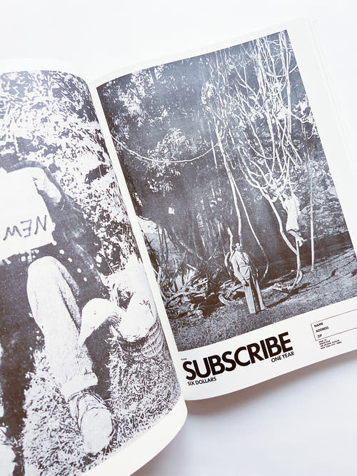 NEWSPAPER / Steve Lawrence, Peter Hujar, Andrew Ullrick