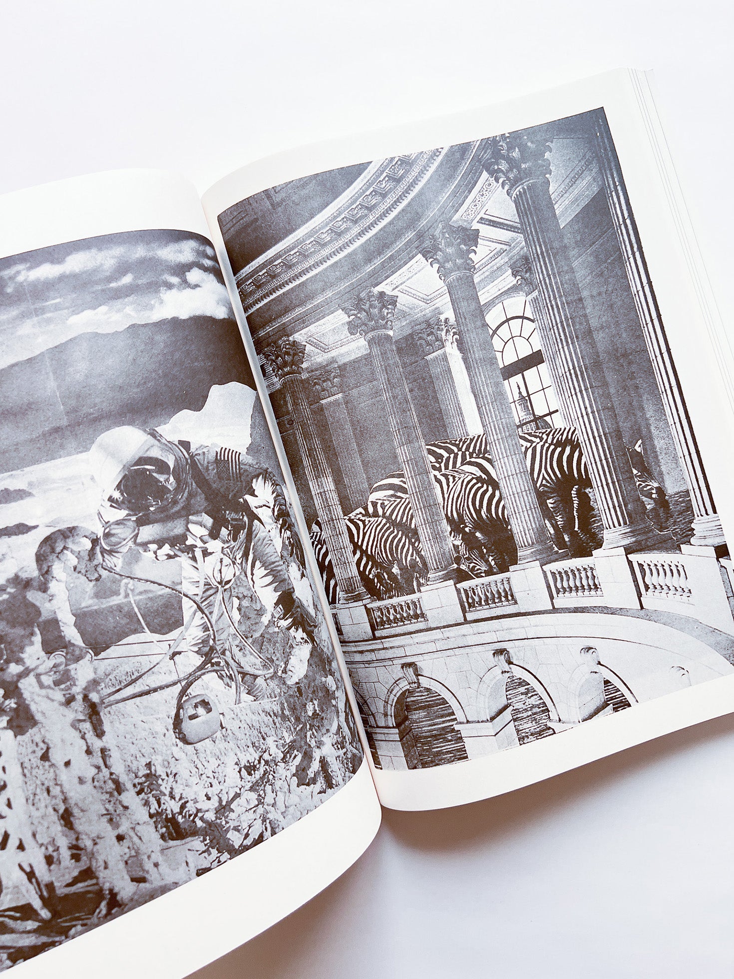 NEWSPAPER / Steve Lawrence, Peter Hujar, Andrew Ullrick