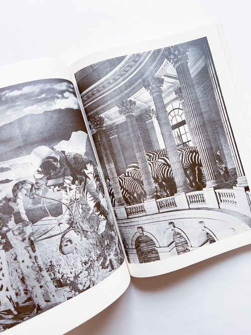 NEWSPAPER / Steve Lawrence, Peter Hujar, Andrew Ullrick