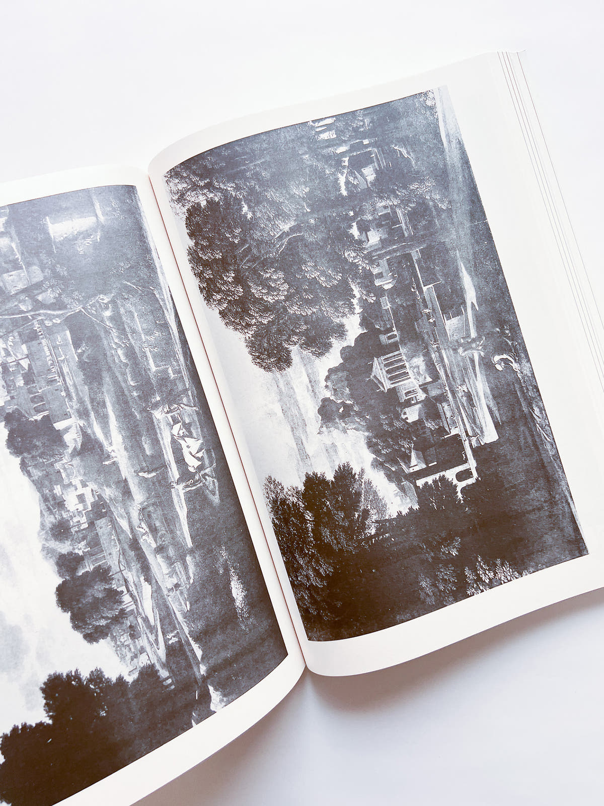 NEWSPAPER / Steve Lawrence, Peter Hujar, Andrew Ullrick