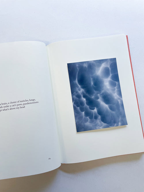 Because (version English) / Sophie Calle