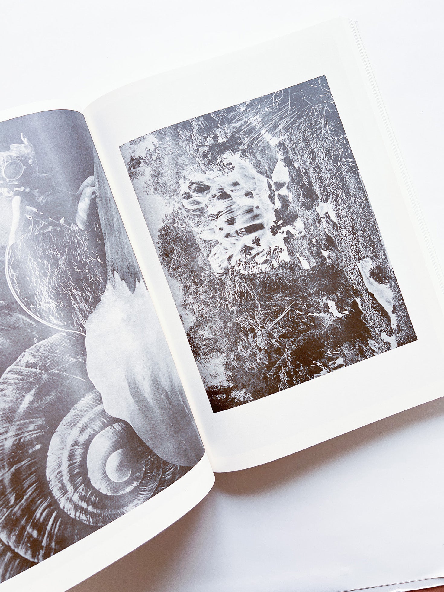 NEWSPAPER / Steve Lawrence, Peter Hujar, Andrew Ullrick