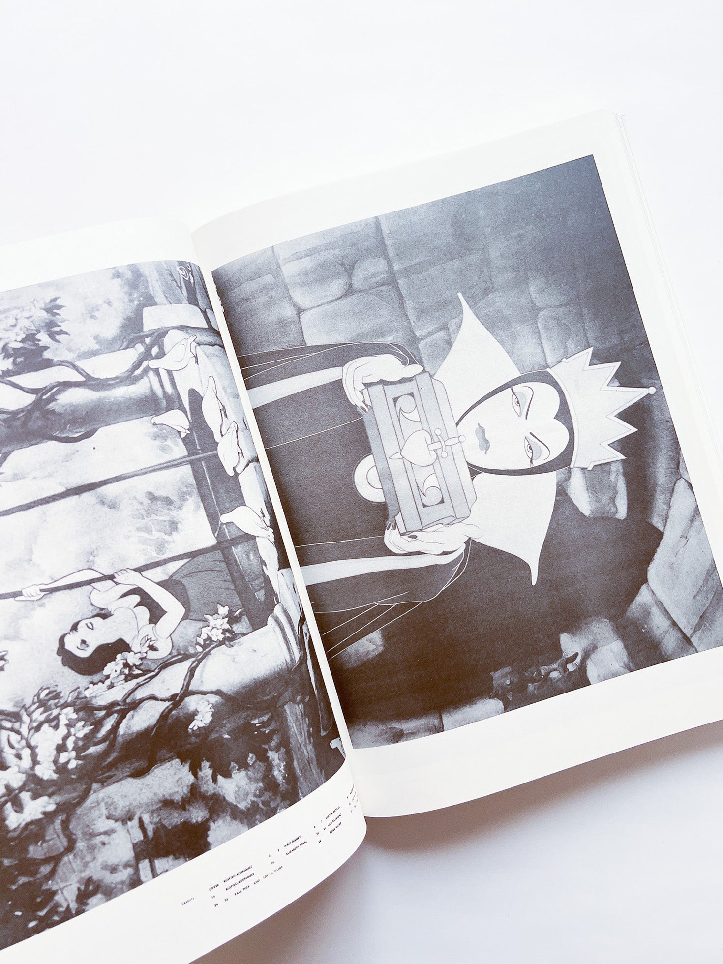 NEWSPAPER / Steve Lawrence, Peter Hujar, Andrew Ullrick