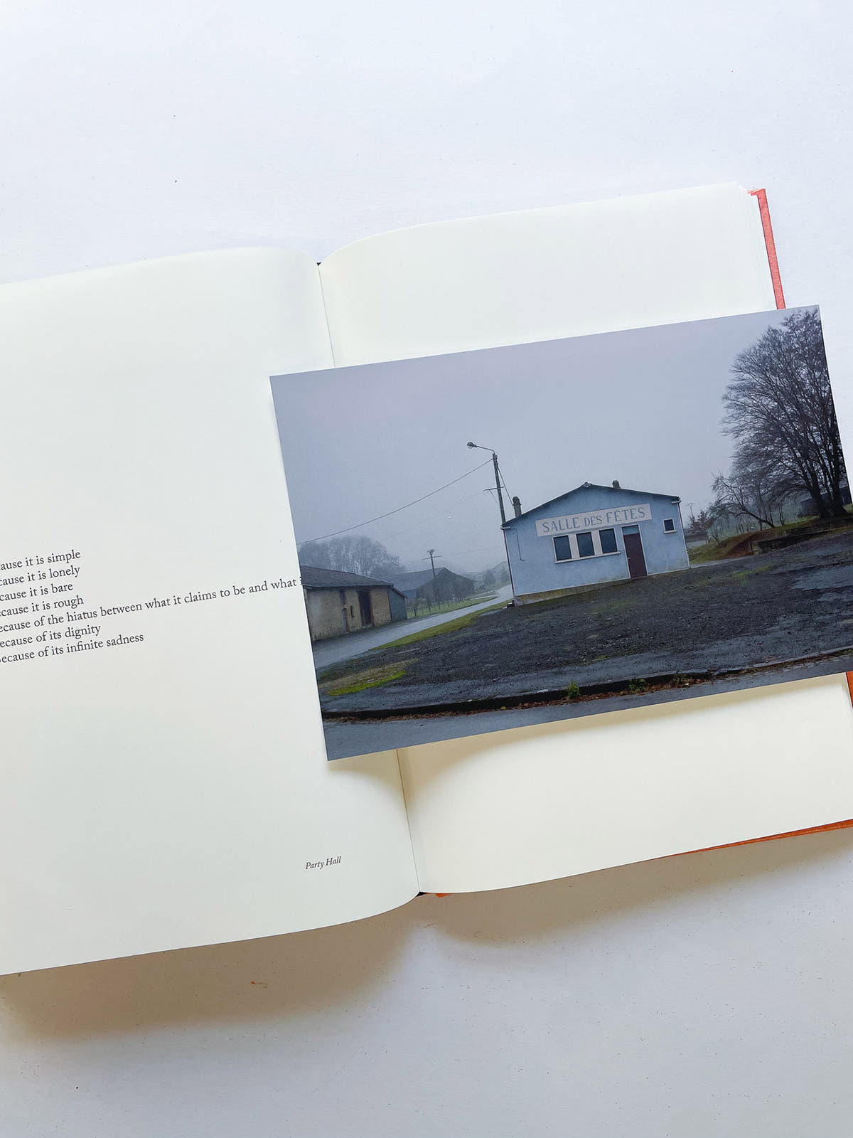 Because (version English) / Sophie Calle
